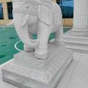 商丘 白麻花岗岩动物异形石雕-大象