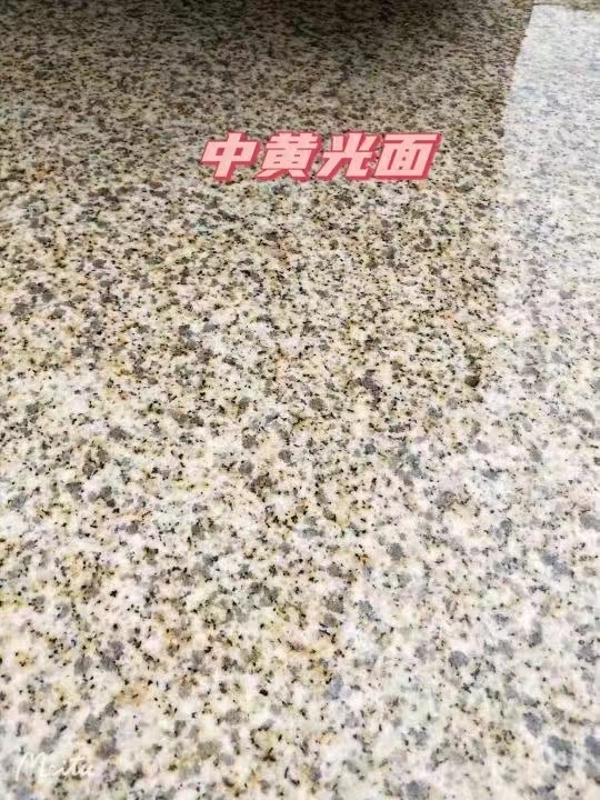 商丘黄金麻中黄光面